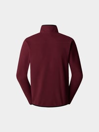 The North Face Glacier 1/4 Erkek Polar Alpine Plum
