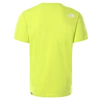 The North Face NSE Erkek Tişört Yeşil