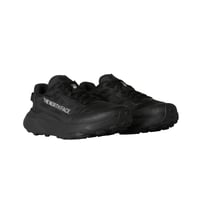 The North Face Altamesa 300 V2 Kadın Ayakkabı Siyah