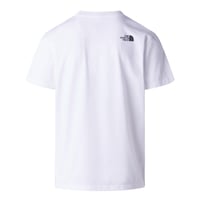 The North Face Evolution Box Half Dome Erkek Tişört Beyaz