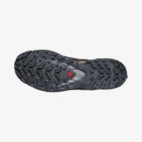 Salomon XA PRO 3D V9 GORE-TEX Erkek Ayakkabı Turbulence Burnt Ochre