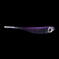 Japanese Sasi LRF Shad W212 Silikon Yem