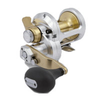 Shimano Talica II 50lb 2-Speed Sağ kol Çıkrık Makine