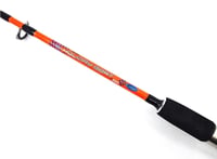 Kendo Holiday Boat 165cm 100-250gr 2 Parça Bot Kamışı