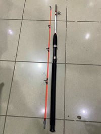 Apollo Color 150cm 50-100gr Dolgu Kamış