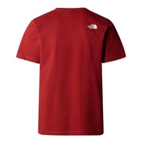 The North Face Easy Erkek Tişört Iron Red