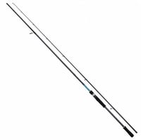 Shimano Bassterra XT Spin Sea Bass 2,44m 8'0