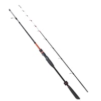 Ryuji Spectra SP 185cm 50-300gr 2P Bot Kamışı