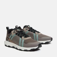 Timberland Winsor Trail Erkek Ayakkabı Taupe