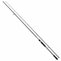 Shimano Bassterra XT Spin Sea Bass 2,44m 8'0