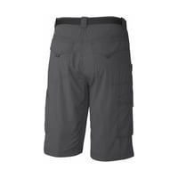 Columbia AM4084-028 Silver Ridge Cargo Erkek Şort