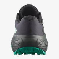 Salomon Alphaglide GORE-TEX Kadın Ayakkabı Siyah