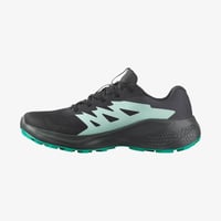 Salomon Alphaglide GORE-TEX Kadın Ayakkabı Siyah