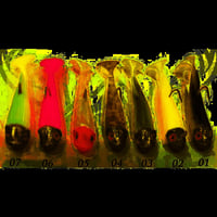 Fujin Bite Bait 5Cm 5Gr Silikon Yem