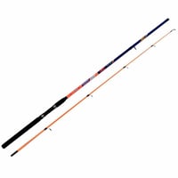 Kali Kunnan Celeste 240 5-25 Spin Kamışı