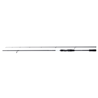 Shimano Bassterra XT+ Spin Sea Bass 2,44m 8'0