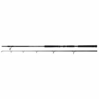 Shimano Beastmaster Catfish Static 320 cm 500g