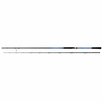 Shimano Blue Romance AX Powergame 300cm 40-80 gr Shore Jig Kamışı