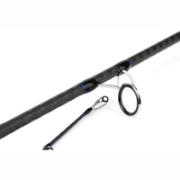 Shimano Blue Romance AX Shore Jigging 290cm 50-80 gr
