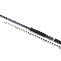Shimano Blue Romance AX Shore Jigging 290cm 50-80 gr