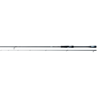 Shimano Lunamis Spinning Inshore 2,90m 9'6