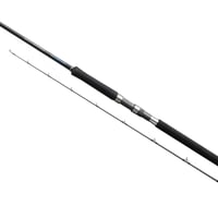 Shimano Salty Advance Spinning 2,90m 9'6