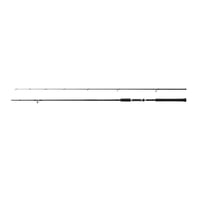 Shimano Salty Advance Spinning Sea Bass 2,90m 9'6