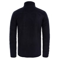 The North Face Glacier 100 1/4 ZIP Siyah Erkek Polar
