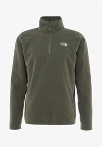 The North Face Glacier 100 1/4 ZIP Yeşil Erkek Polar