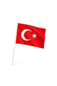 40 Adet Büyük Boy Çıtalı Türk Bayrağı – Ay Yıldız Baskılı Sopalı Bayrak 20x30 cm