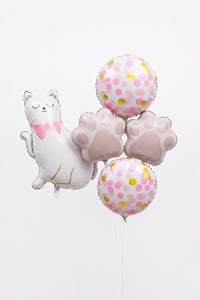 5 Parça Kedi Folyo Balon Seti – Pati ve Puantiyeli Doğum Günü Parti Süsü