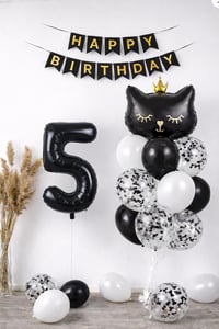 5 Yaş Kedi Temalı Doğum Günü Balon Seti – Siyah Konsept
