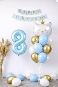 8 Yaş Kedi Temalı Doğum Günü Balon Seti – Mavi Gold Konsept