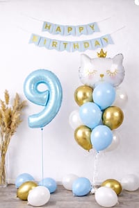 9 Yaş Kedi Temalı Doğum Günü Balon Seti – Mavi Gold Konsept