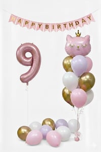 9 Yaş Kedi Temalı Günü Balon Doğum Seti – Pembe Gold Konsept