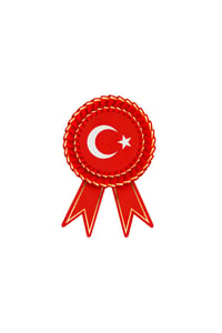 Ay Yıldızlı Türk Bayrağı Milli Bayramlar Kapı Süsü 30x47 cm