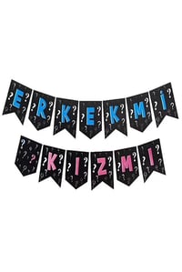 Erkek Mi Kız Mı Zikzak Banner 