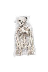 Halloween Cadılar Bayramı 60 Cm Asılabilir İskelet Dekor Süsü – Kuru Kafa Halloween Süsü