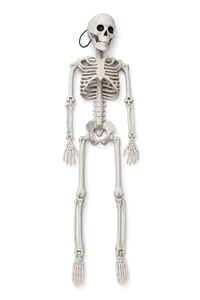 Halloween Cadılar Bayramı 90 Cm Asılabilir İskelet Dekor Süsü – Hareketli Kuru Kafa İskelet
