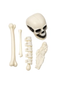 Halloween Cadılar Bayramı Mini İskelet Dekor Seti – 5 Parça Kuru Kafa ve Kemik Süs