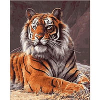 Kaplan Kral Shere Khan Tuvale Gerili Sayılarla Boyama Hobi Seti 40x50 cm