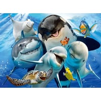 Kayıp Balık Nemo Tuvale Gerili Sayılarla Boyama Hobi Seti 40x50 cm