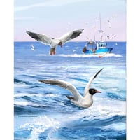 Martılar ve Taka Kanvas Bez Çerçevesiz Sayılarla Boyama Hobi Seti 40x50 cm