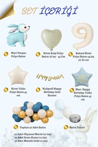 Mavi Tavşan Temalı 9 Yaş Doğum Günü Balon Seti