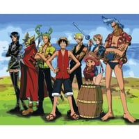 One Piece Tuvale Gerili Sayılarla Boyama Hobi Seti 40x50 cm