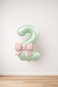 Pembe Fiyonk & Adaçayı Yeşili Rakam 2 Folyo Balon Seti