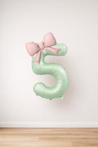 Pembe Fiyonk & Adaçayı Yeşili Rakam 5 Folyo Balon Seti