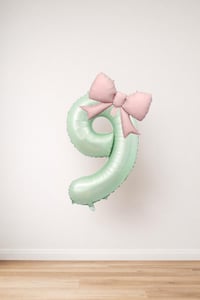 Pembe Fiyonk & Adaçayı Yeşili Rakam 9 Folyo Balon Seti