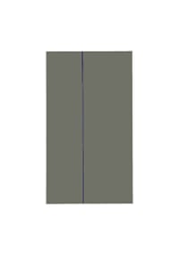 General Mobile Discovery Gm8 Polarize
