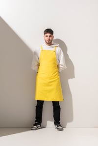 K-144 COLOUR -  Sarı Renk Önlük 